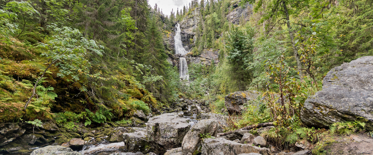 Fettjeåfallet – Juwel im Jämtland