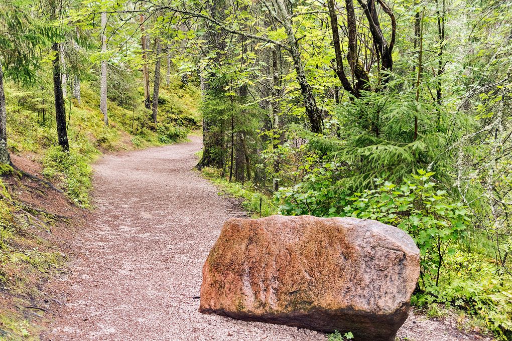 Auf zum Styggforsen