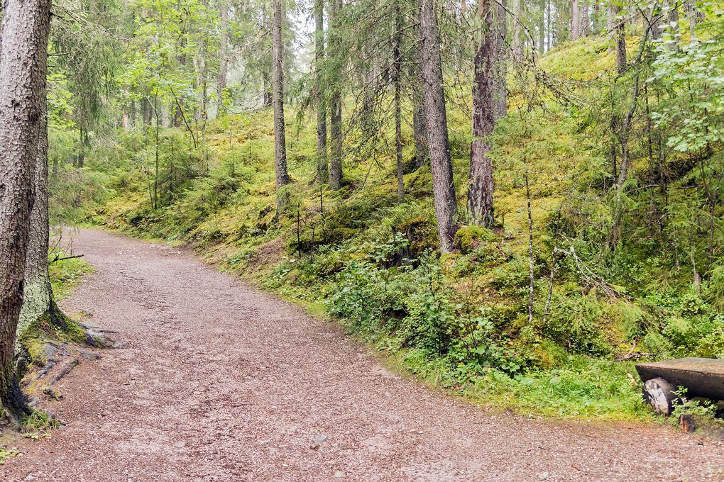 Gut ausgebauter Weg zum Styggforsen