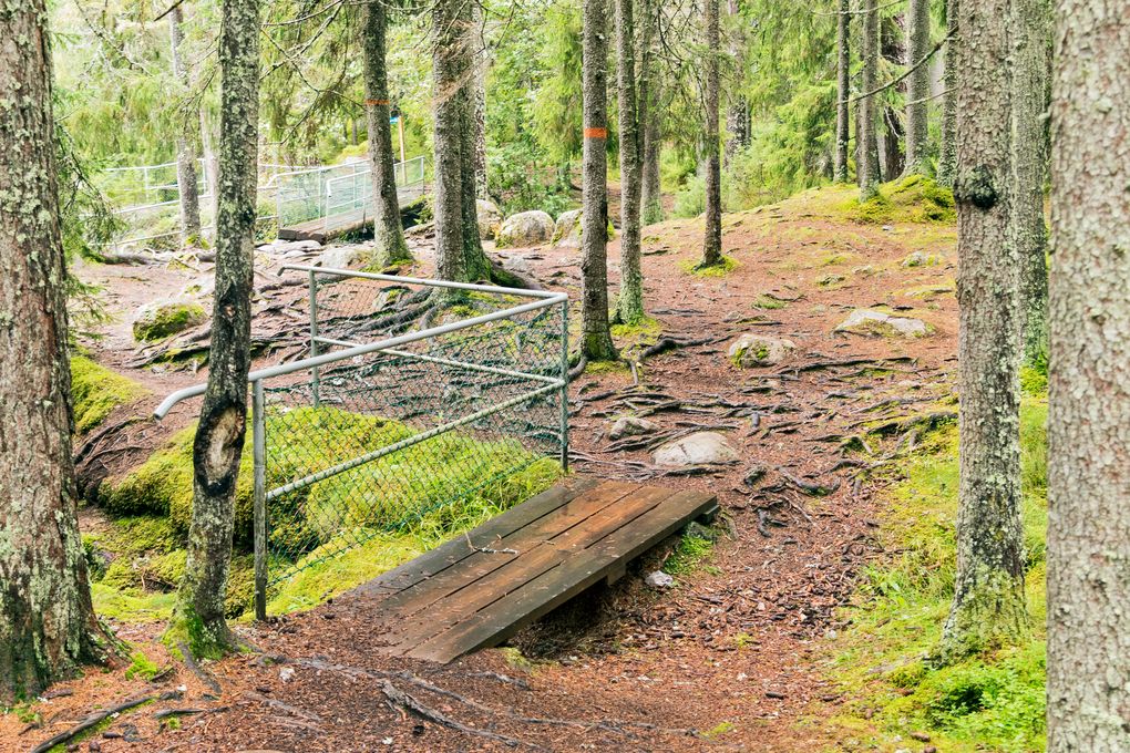 Wandern um den Styggforsen
