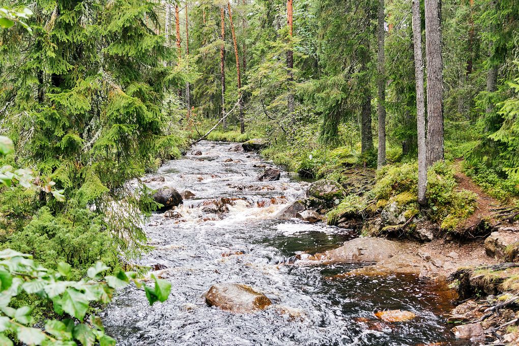 Zulauf zum Styggforsen